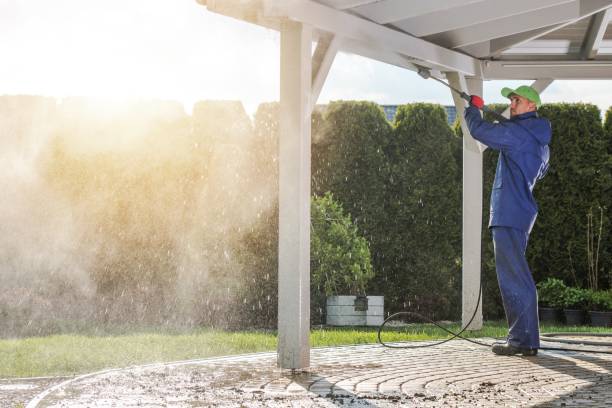 Best Solar Panel Cleaning  in Rohnert Park, CA
